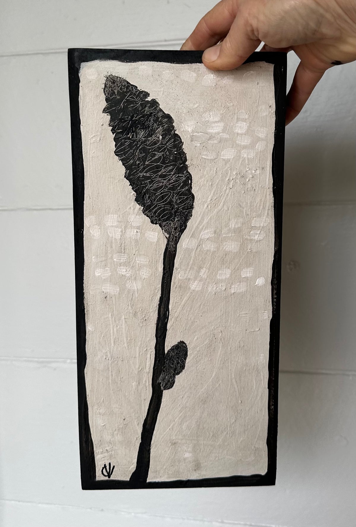 Seed Pod